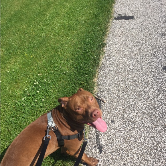 Meet your Posher, David - Picture 1 of 1